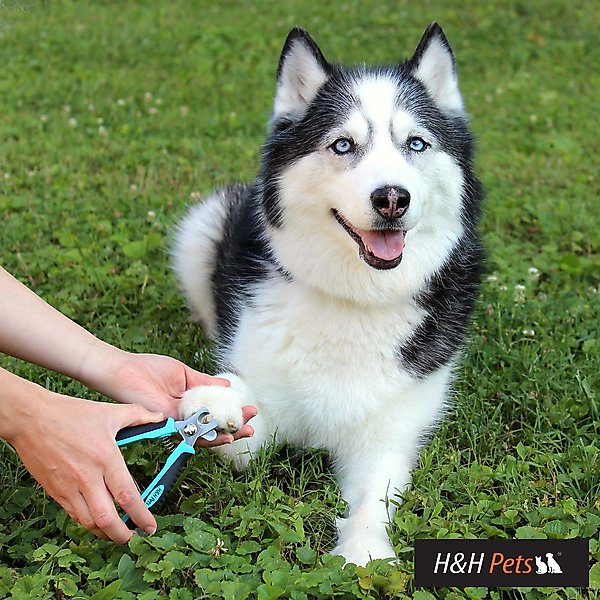 Show full view: H&H Pets Dog & Cat Nail Clipper, Medium slide 4 of 5