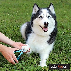 H&H Pets Dog & Cat Nail Clipper, Medium