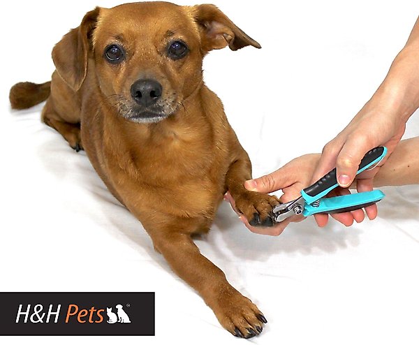 Show full view: H&H Pets Dog & Cat Nail Clipper, Medium slide 5 of 5