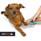 Show in main carousel: H&H Pets Dog & Cat Nail Clipper, Medium slide 5 of 5