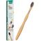 Show in main carousel: H&H Pets Reusable Bamboo Toothbrush for Dogs & Cats, 1 count, Large slide 1 of 7