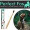 Show in main carousel: H&H Pets Reusable Bamboo Toothbrush for Dogs & Cats, 1 count, Large slide 6 of 7