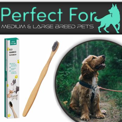 Show full view: H&H Pets Reusable Bamboo Toothbrush for Dogs & Cats, 1 count, Large slide 6 of 7