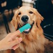 Show in main carousel: H&H Pets Silicone Finger Dog & Cat Toothbrush, 1 count slide 3 of 6
