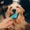 Show in main carousel: H&H Pets Silicone Finger Dog & Cat Toothbrush, 8 count slide 4 of 7