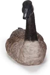 Hi-Line Gift Sitting Canadian Goose Garden Statue, Cream/Brown/Black, 17.91-in
