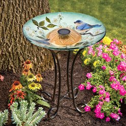 Hi-Line Gift Solar Blue Bird with Peach Blossom Glass Bird Bath with Stand, Multicolor
