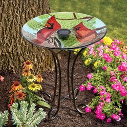 Hi-Line Gift Solar Cardinal Glass Bird Bath with Stand, Multicolor
