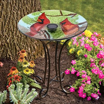 Show full view: Hi-Line Gift Solar Cardinal Glass Bird Bath with Stand, Multicolor slide 1 of 10