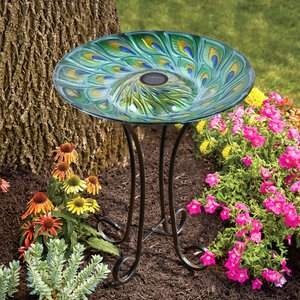 Hi-Line Gift Solar Green Peacock Feather Glass Bird Bath with Stand, Multicolor