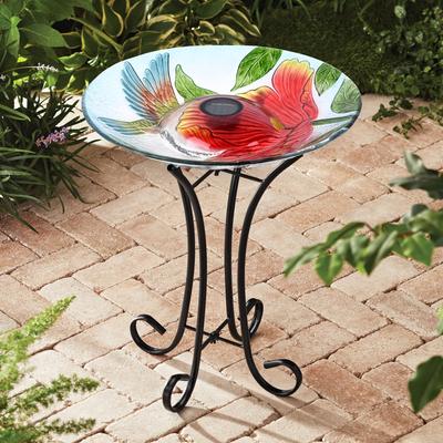 Show full view: Hi-Line Gift Solar Hummingbird with Poppy Glass Bird Bath with Stand, Multicolor slide 1 of 11
