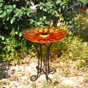 Hi-Line Gift Solar Orange Floral Glass Bird Bath with Stand, Multicolor