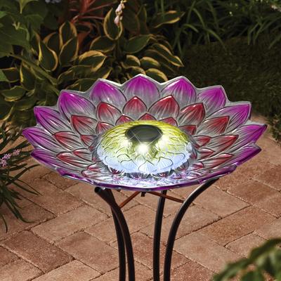 Show full view: Hi-Line Gift Solar Pink Floral Glass Bird Bath with Stand, Multicolor slide 6 of 10