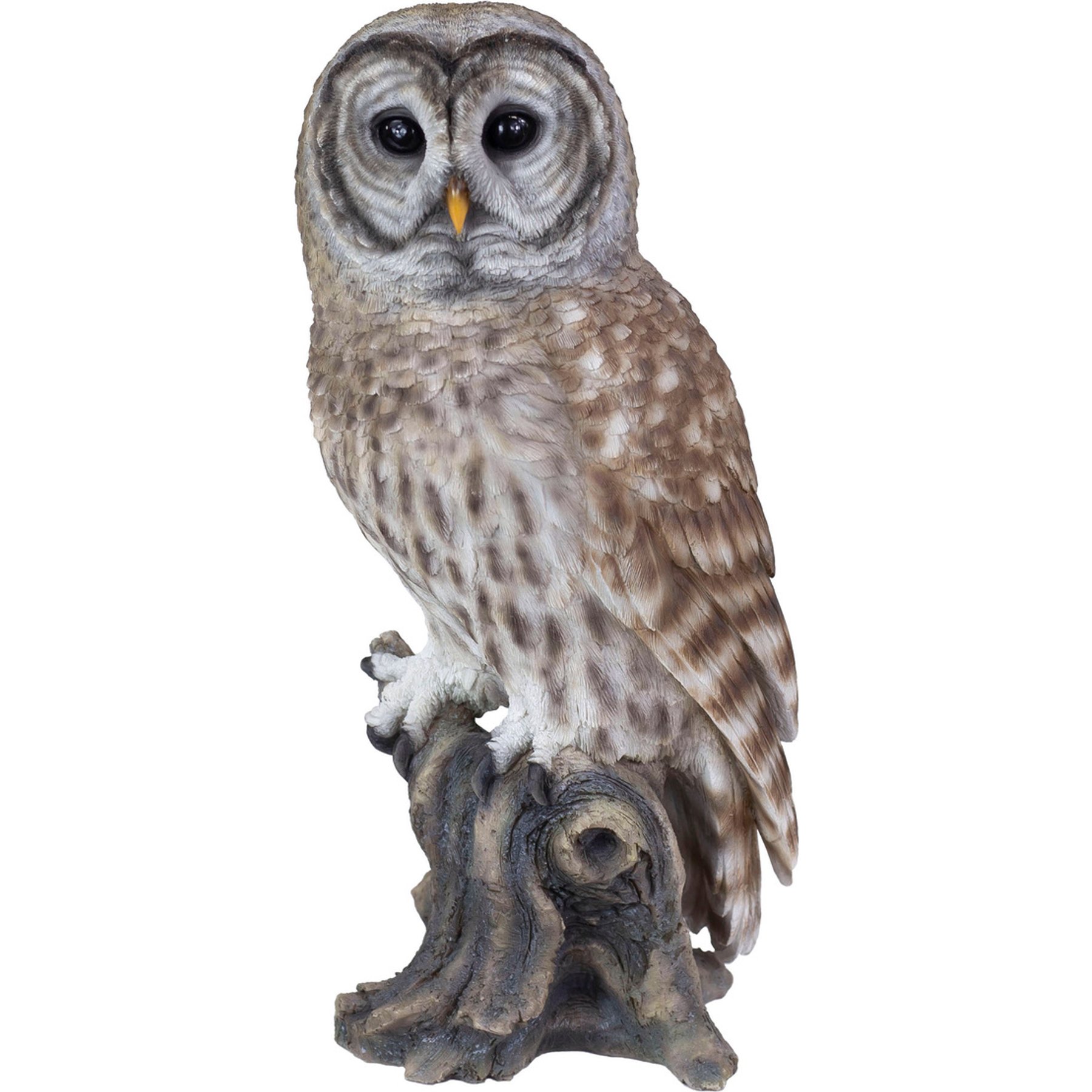 Hi-Line Gift SOREAL Brown Barred Owl on Branch Statue, Brown, 6.3-in
