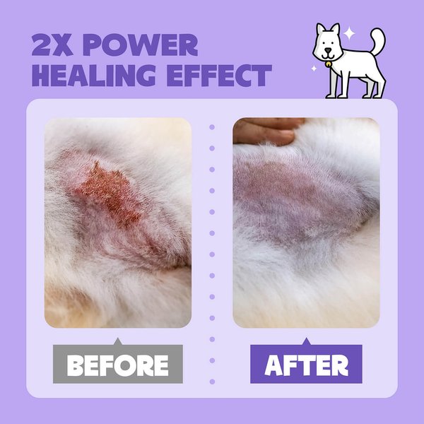 HICC PET 2X Power Wound & Antimicrobial Cat & Dog Skin Treatment Spray, 10.1-fl oz bottle