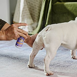 HICC PET Antimicrobial Anal Gland Dog Cat & Small Pet Spray, 4-fl oz bottle