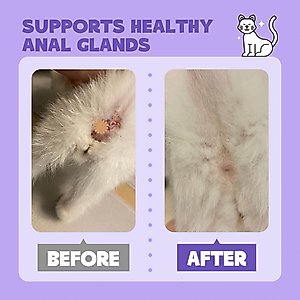 HICC PET Antimicrobial Anal Gland Dog Cat & Small Pet Spray, 4-fl oz bottle