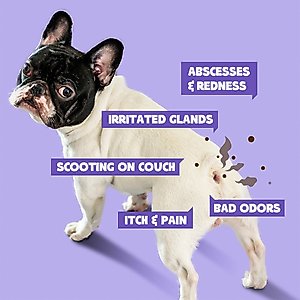 HICC PET Antimicrobial Anal Gland Dog Cat & Small Pet Spray, 4-fl oz bottle