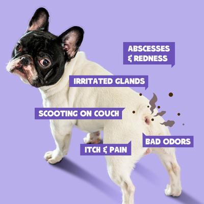 Show full view: HICC PET Antimicrobial Anal Gland Dog Cat & Small Pet Spray, 4-fl oz bottle slide 6 of 7