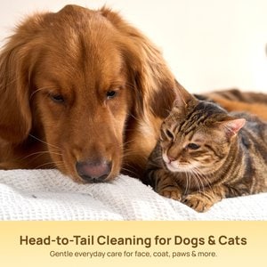 HICC PET Deodorizing Coconut Scent Cat & Dog Glove Grooming Wipes, 20 count