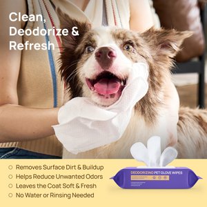 HICC PET Deodorizing Coconut Scent Cat & Dog Glove Grooming Wipes, 20 count