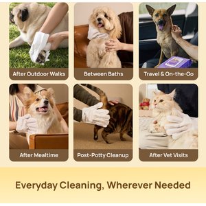 HICC PET Deodorizing Coconut Scent Cat & Dog Glove Grooming Wipes, 20 count