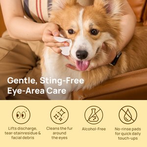 HICC PET Hypoallergenic Tear Stain Care Dog & Cat Eye Wipes, 100 count