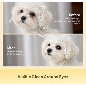 HICC PET Hypoallergenic Tear Stain Care Dog & Cat Eye Wipes, 100 count