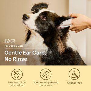HICC PET Relief Ear Finger Wax, Dirt & Debris Care Dog & Cat Wipes, 50 count
