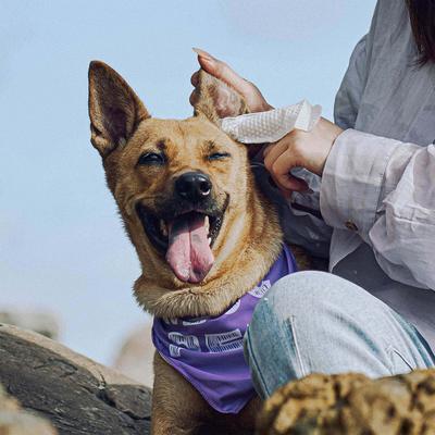 Show full view: HICC PET Relief Ear Finger Dog Cat & Small Pet Wipes, 50 count slide 6 of 7