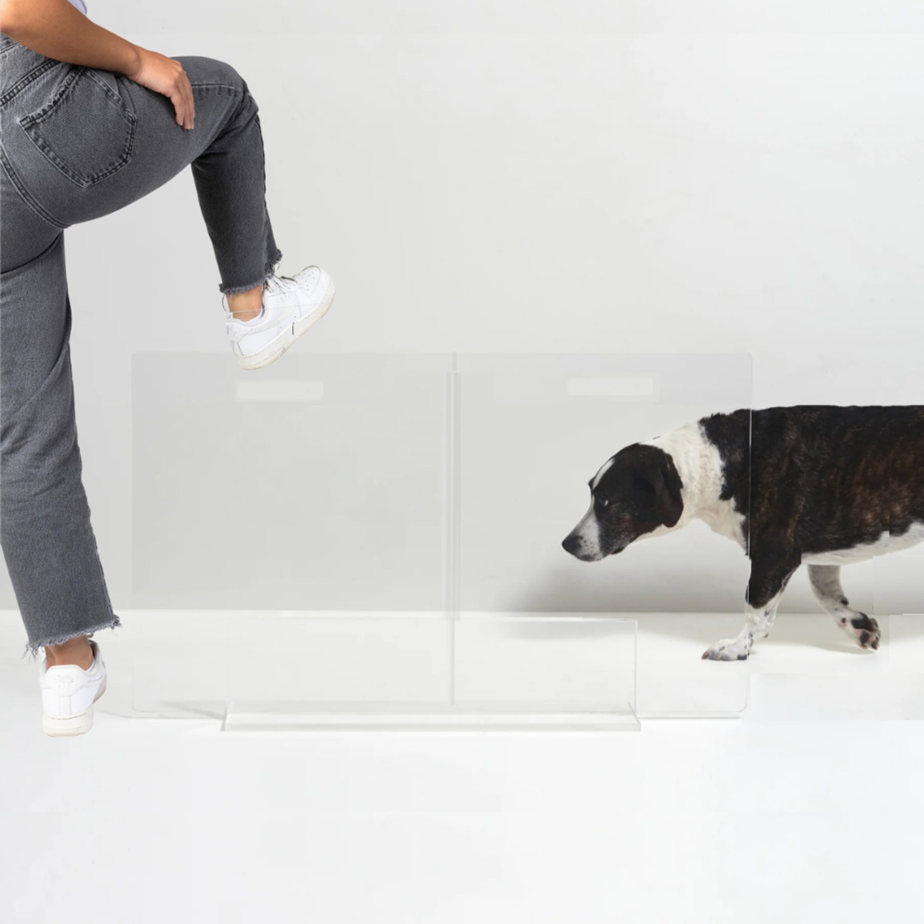 Hiddin Low Clear View Panel Freestanding Dog Gate, 36-in