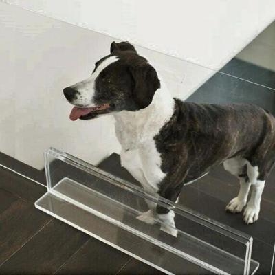 Show full view: Hiddin Low Clear View Panel Freestanding Dog Gate, 36-in slide 6 of 11