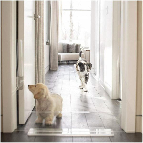 Hiddin Tall Clear View Panel Freestanding Dog Gate