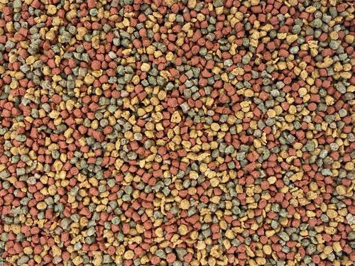 Show full view: Higgins inTune Complete & Balanced Diet Canary & Finch Bird Food, 2-lb bag slide 3 of 6