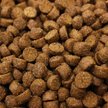Show in main carousel: Higgins inTune Complete & Balanced Diet Grain-Free Ferret Food, 4-lb bag slide 3 of 10