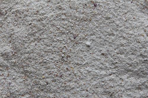 Show full view: Higgins inTune Complete & Balanced Diet Lory Bird Food, 2-lb bag slide 2 of 5