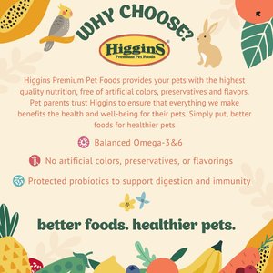 Higgins inTune Duets Chickpeas & Apples Bird Treats, 3-oz bag