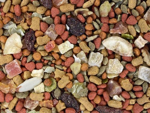 Show full view: Higgins inTune Harmony Conure & Cockatiel Bird Food, 17.5-lb bag slide 3 of 8