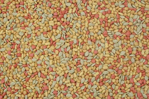 Show full view: Higgins InTune Natural Bird Food, 2-lb bag slide 3 of 9