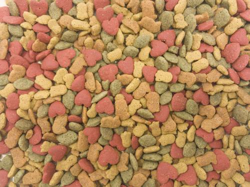 Show full view: Higgins InTune Natural Parrot Food, 18-lb bag slide 3 of 8