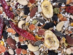 Higgins Mayan Harvest Tikal Parrot Food, 3-lb bag slide 2 of 5