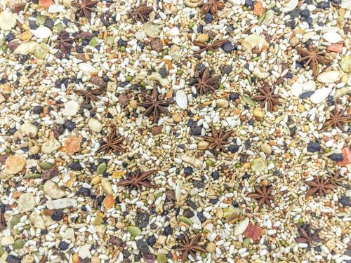 Show full view: Higgins Mayan Harvest Yucatan Bird Food, 20-lb bag slide 3 of 6