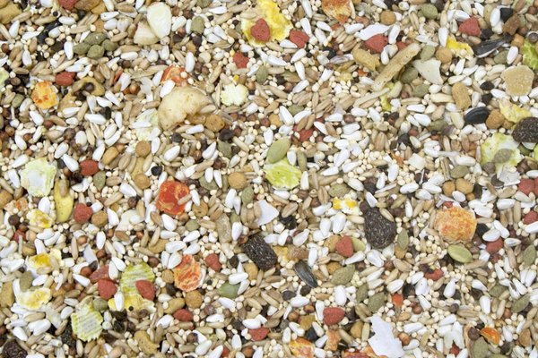 Higgins Safflower Gold Natural Food Mix For Conures & Cockatiels, 3lbs