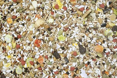 Show full view: Higgins Safflower Gold Natural Mix Conure & Cockatiel Food + Sungrow Parrot Chew Toy, Foraging Blocks, Rainbow Wood slide 4 of 7