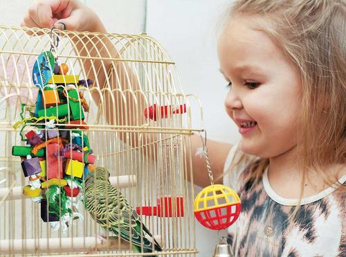 Show full view: Higgins Safflower Gold Natural Mix Conure & Cockatiel Food + Sungrow Parrot Chew Toy, Foraging Blocks, Rainbow Wood slide 6 of 7