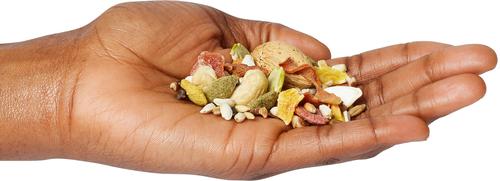 Show full view: Higgins Safflower Gold Parrot Food, 25-lb bag slide 4 of 8