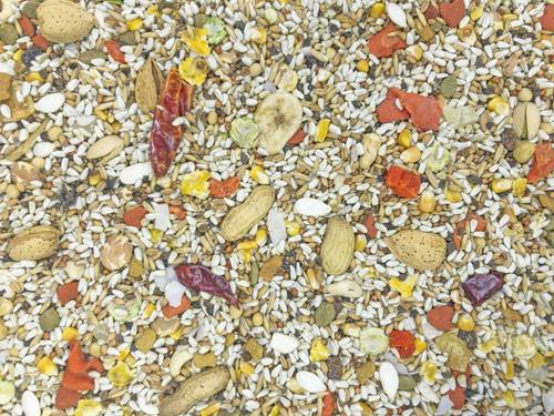 Show full view: Higgins Safflower Gold Parrot Food, 3-lb bag slide 3 of 10