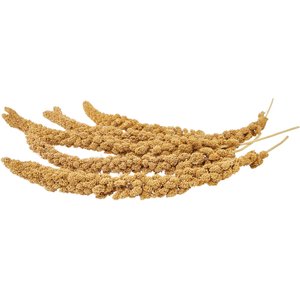 Higgins Spray Millet Bird Treats, 12 count