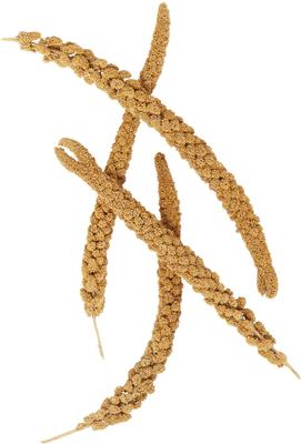 Show full view: Higgins Spray Millet Bird Treats, 5-lb bag slide 4 of 5