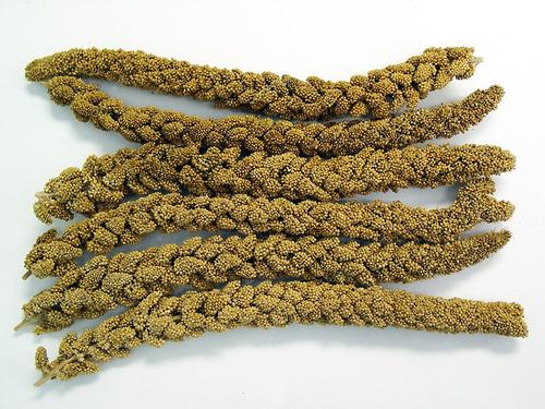 Show full view: Higgins Spray Millet Bird Treats, 6 count slide 3 of 7